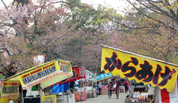 京都円山公園の桜21開花予想 見頃やライトアップの時間は 屋台や駐車場も