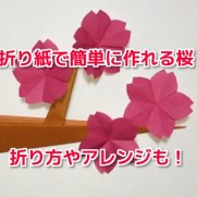 折り紙桜