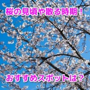 桜開花予想