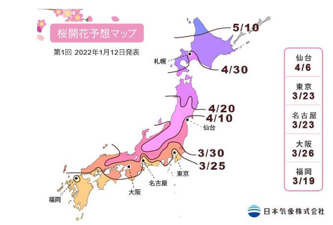 桜開花予想2022