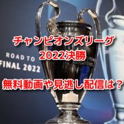 チャンピオンズリーグ2022決勝　無料動画